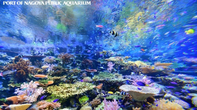 「名古屋港水族館」特別優待割引券付きプラン♪【ファミリーやカップルで】無料駐車場完備（素泊り） 